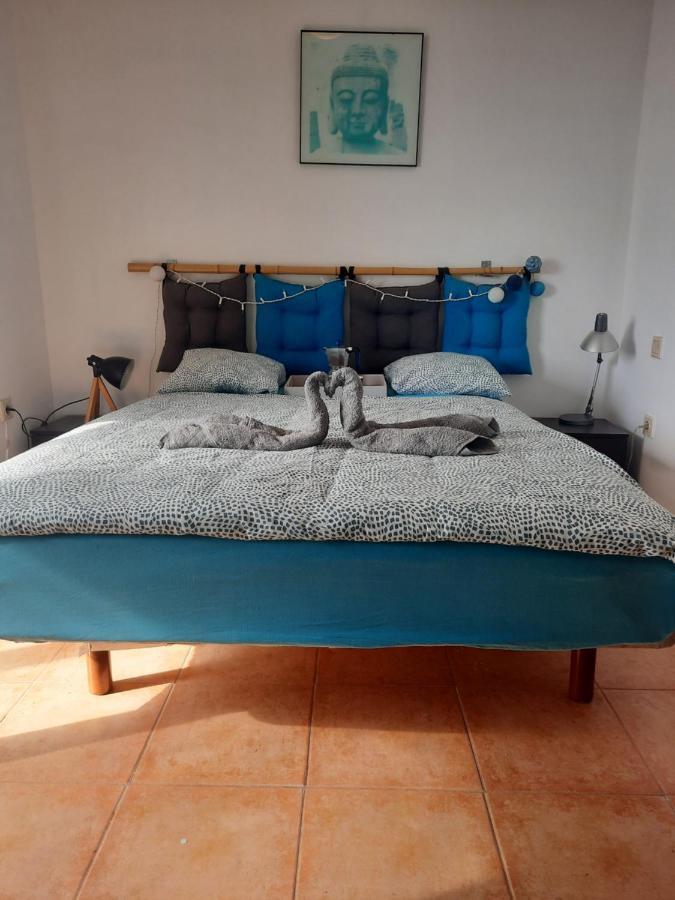 Sun & Surf Loft, Near Main Street And Beach, Wifi Fiber, Winter Garden With Sea View Коральео Экстерьер фото